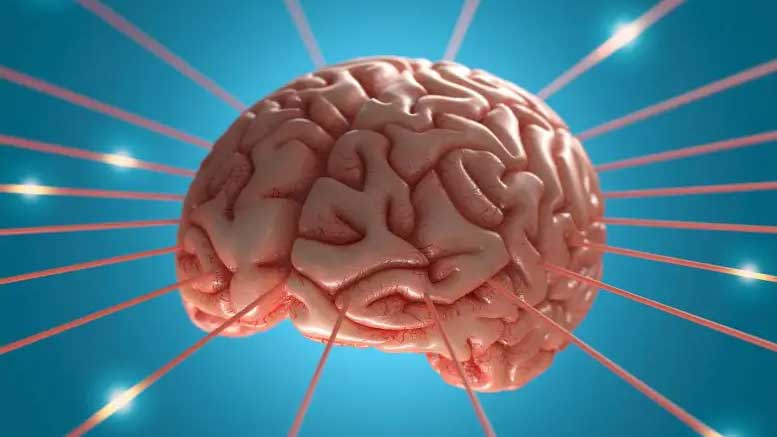 Brain-Energy-Signals-Concept-777×622