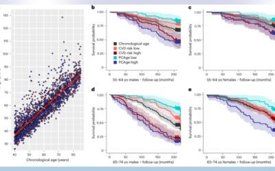 Principal component-based clinical aging clocks identify signatures of healthy aging and targets for clinical intervention