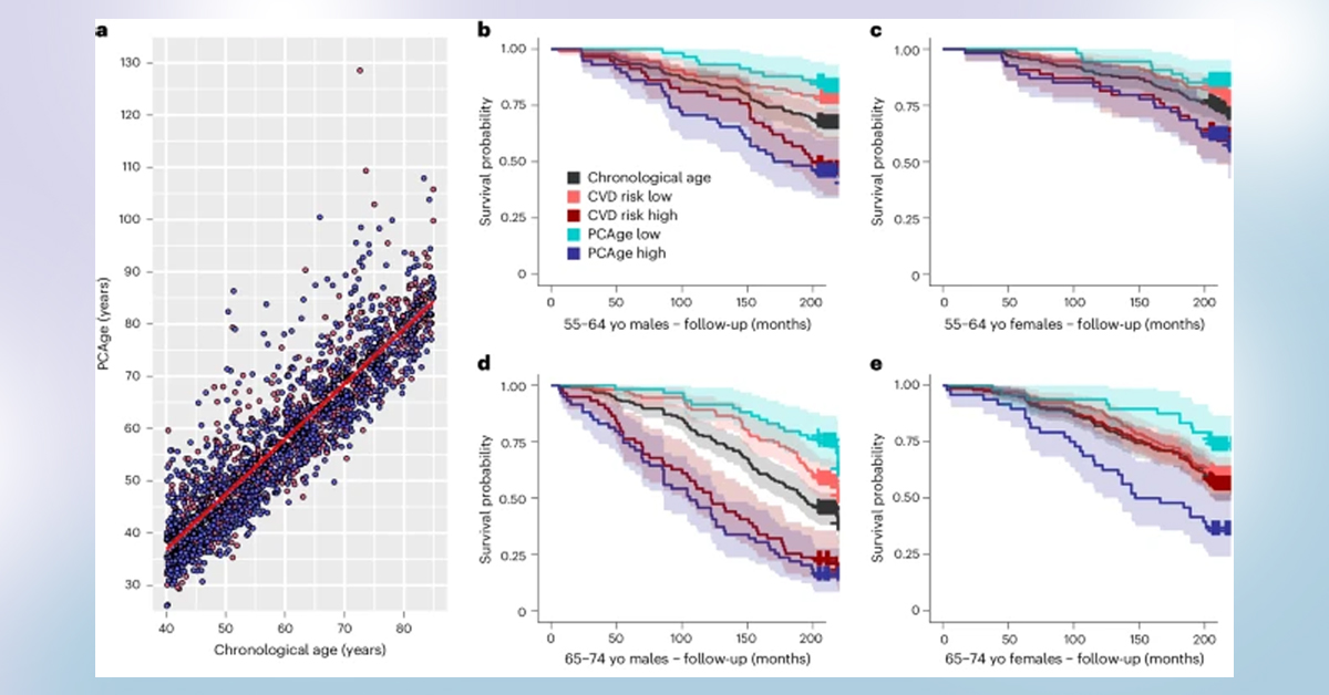 Principal-component-based-clinical-aging-clocks