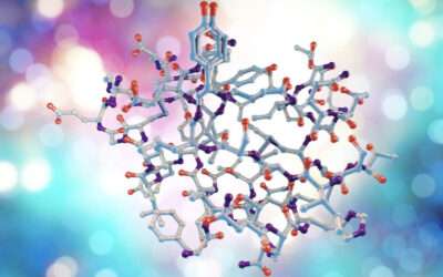 Suppression of neuropeptide F extends longevity in flies