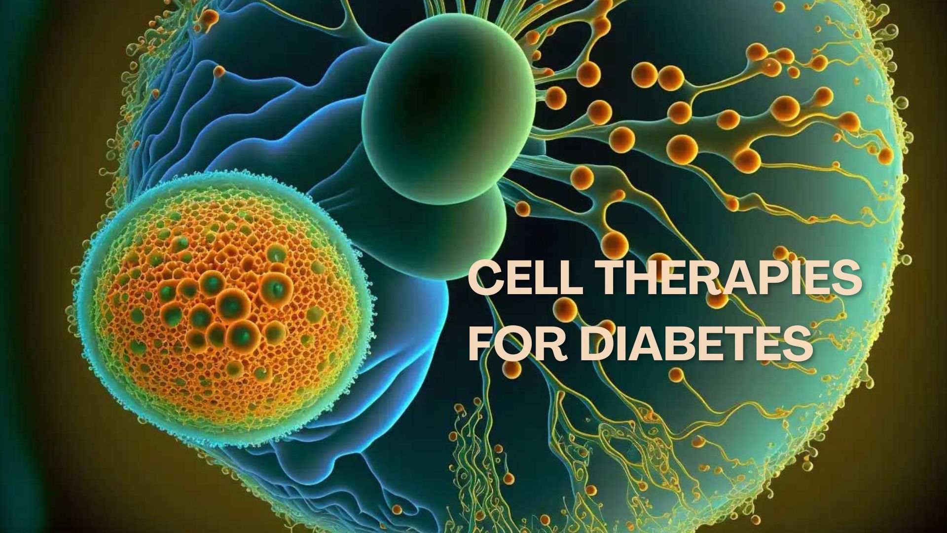 Weaponizing CAR-T Cells Against Cancer