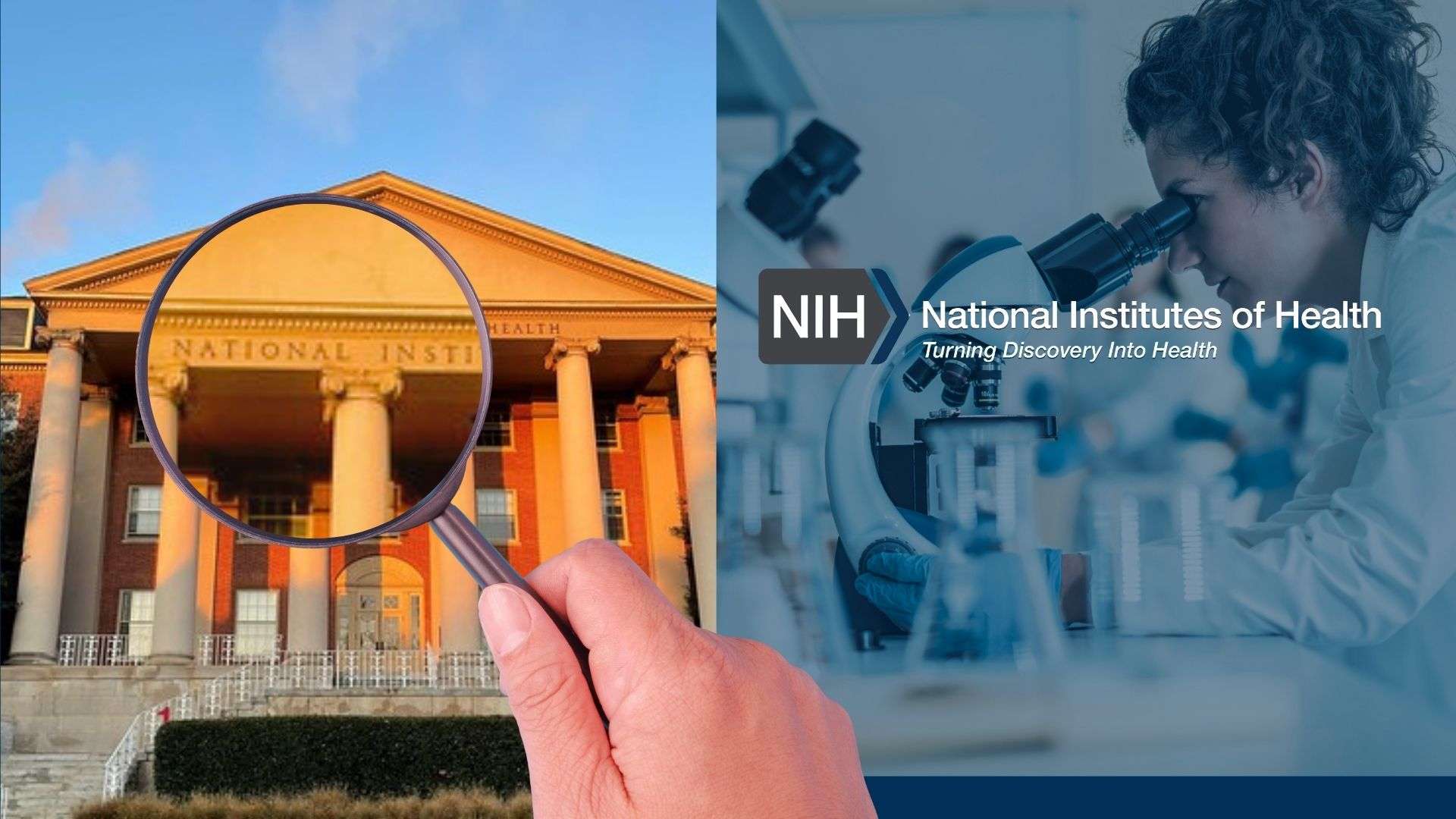 NIH Grants Drive National and Local Economies Pregnancy is an aging see-saw