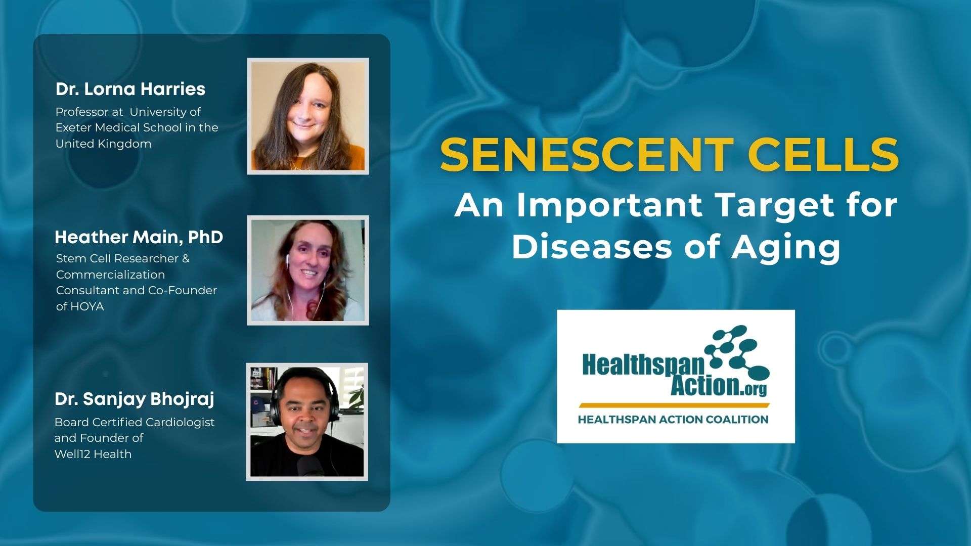 Watch Healthspan Action Coalition Podcast about Senescent Cells Watch Healthspan Action Coalition Podcast about Senescent Cells