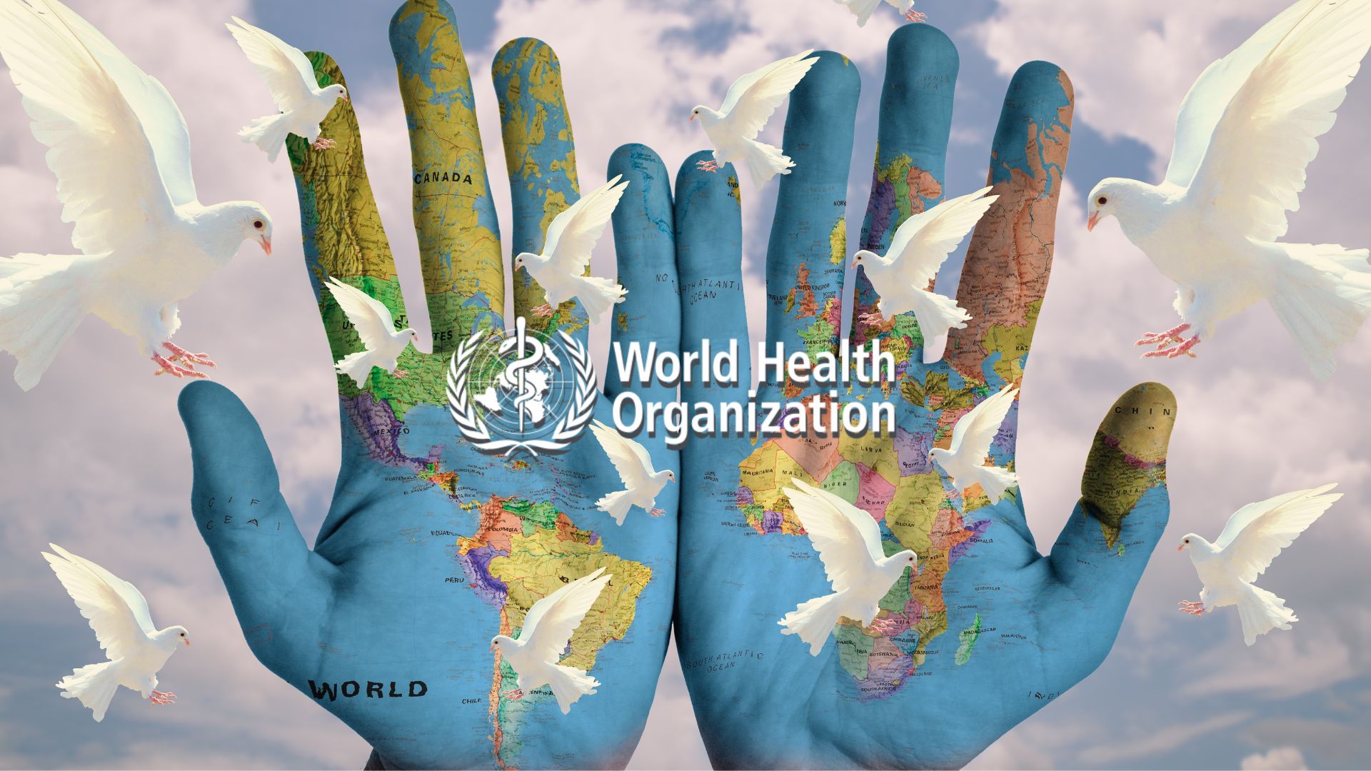 The WHO Faces Major Cuts Amniotic Fluids