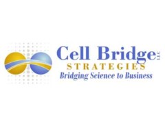 Cell Bridge Strategies