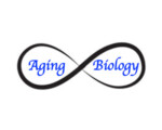 Aging Biology