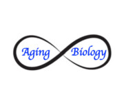 Aging Biology