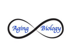 Aging Biology