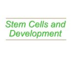 Stem Cells and Development