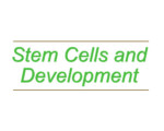 Stem Cells and Development