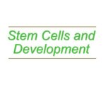 Stem Cells and Development