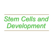 Stem Cells and Development