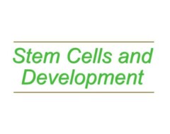 Stem Cells and Development